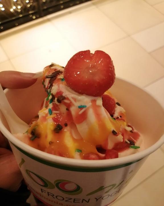 meloonia Frozen Yogurt